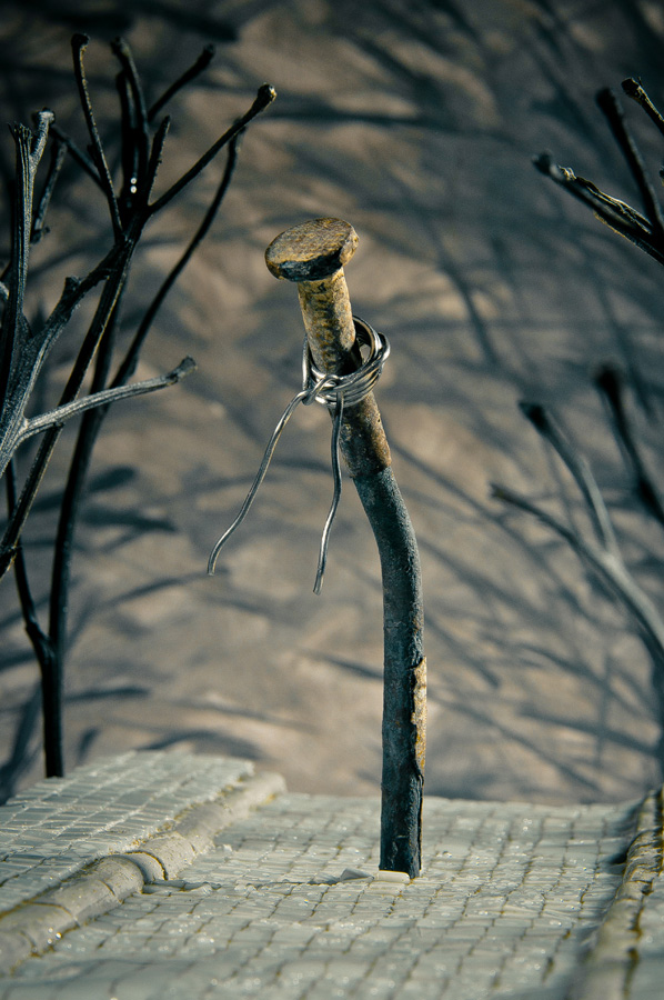 photo "***" tags: still life, 