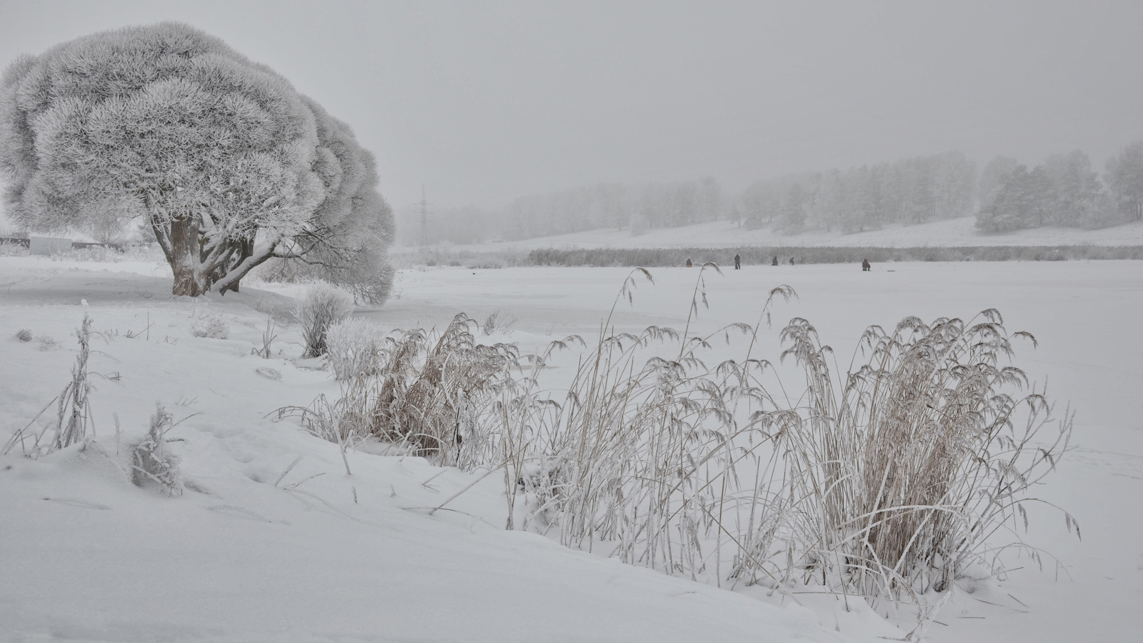 photo "***" tags: landscape, nature, 