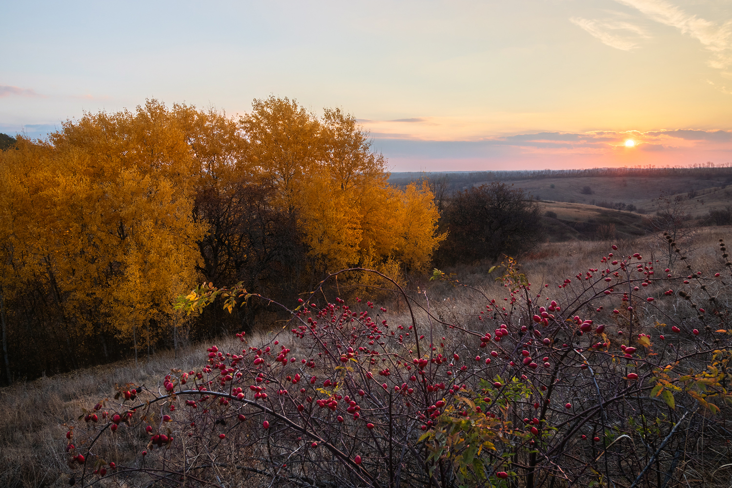 photo "***" tags: landscape, 