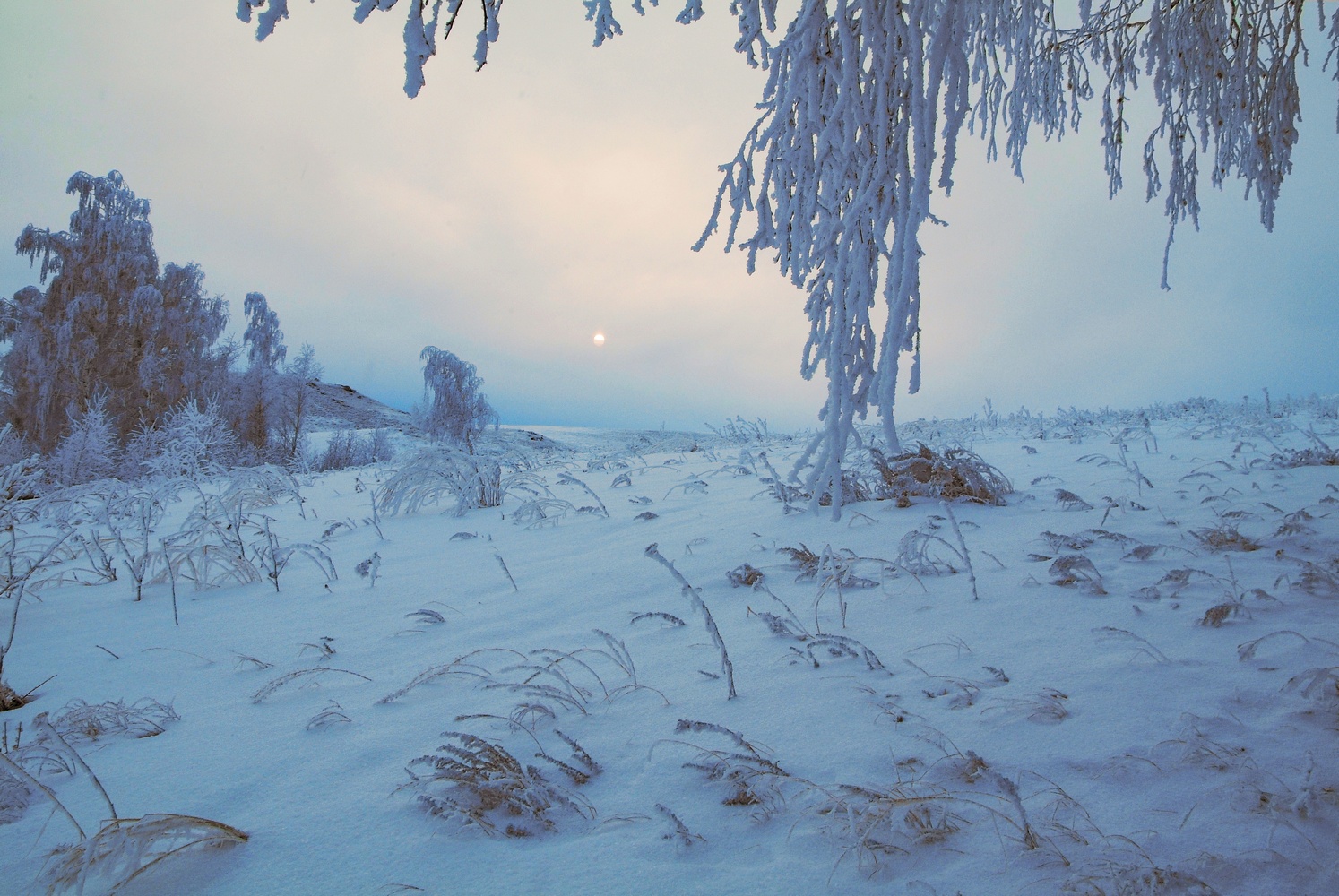 photo "***" tags: landscape, 