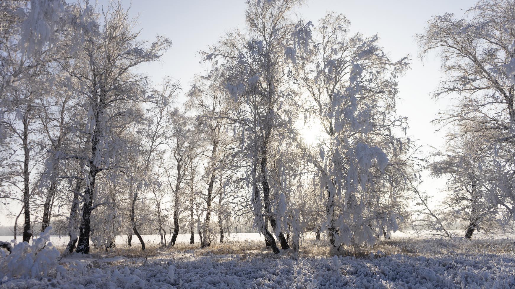 photo "***" tags: landscape, nature, travel, hoarfrost, winter, зимний пейзаж
