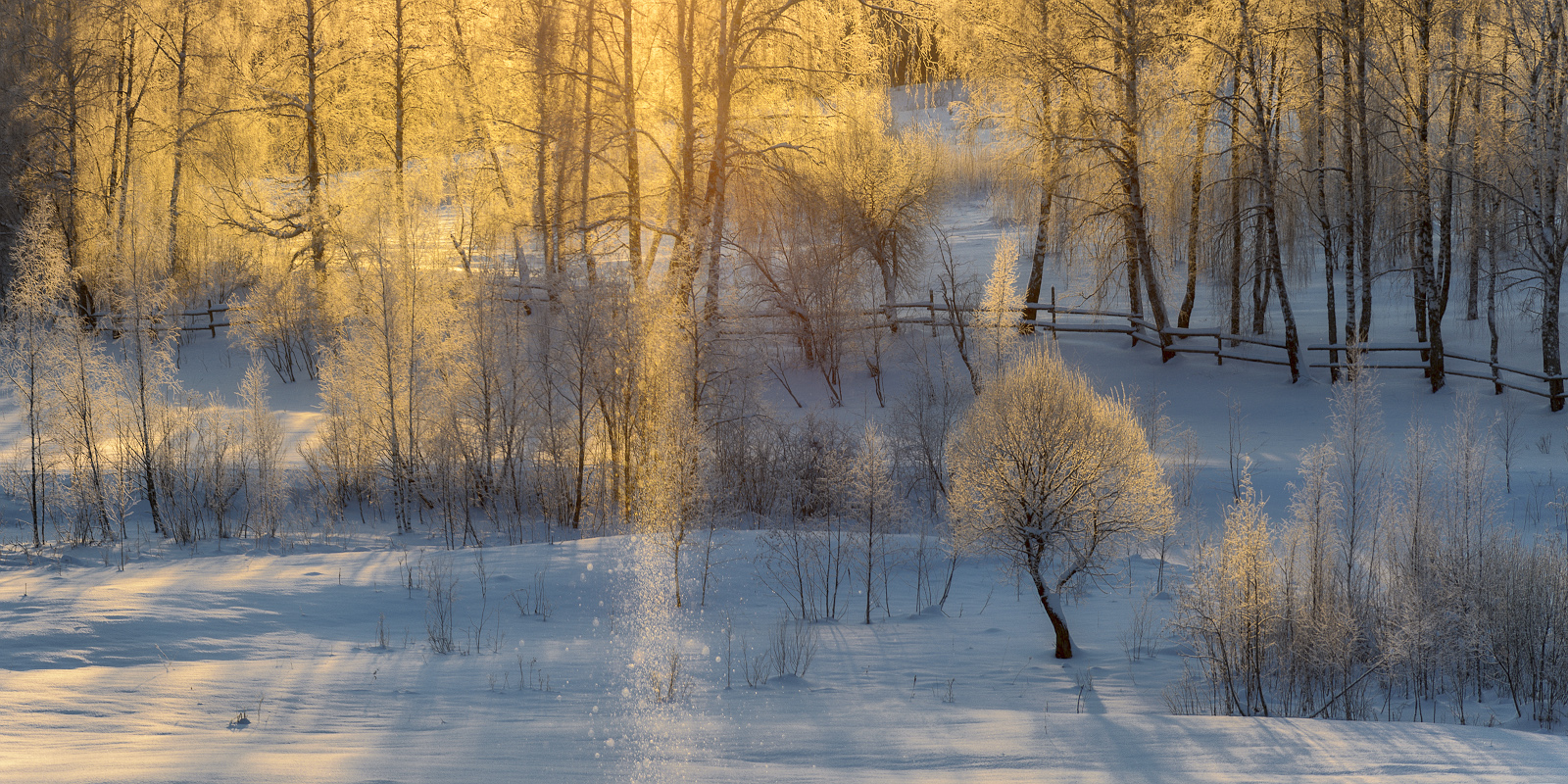 фото ""позолота"" метки: пейзаж, природа, 