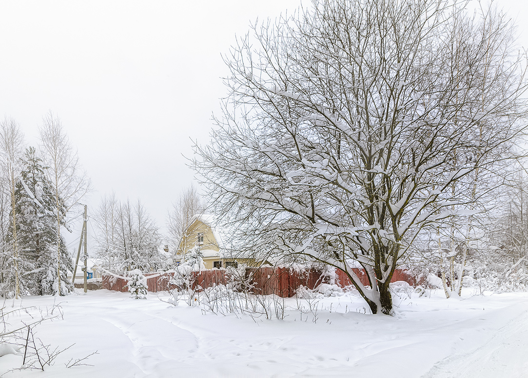 фото "***" метки: пейзаж, 