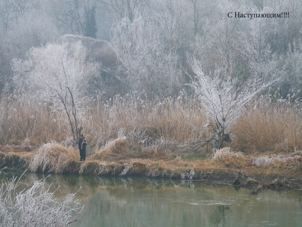 photo "***" tags: nature, winter