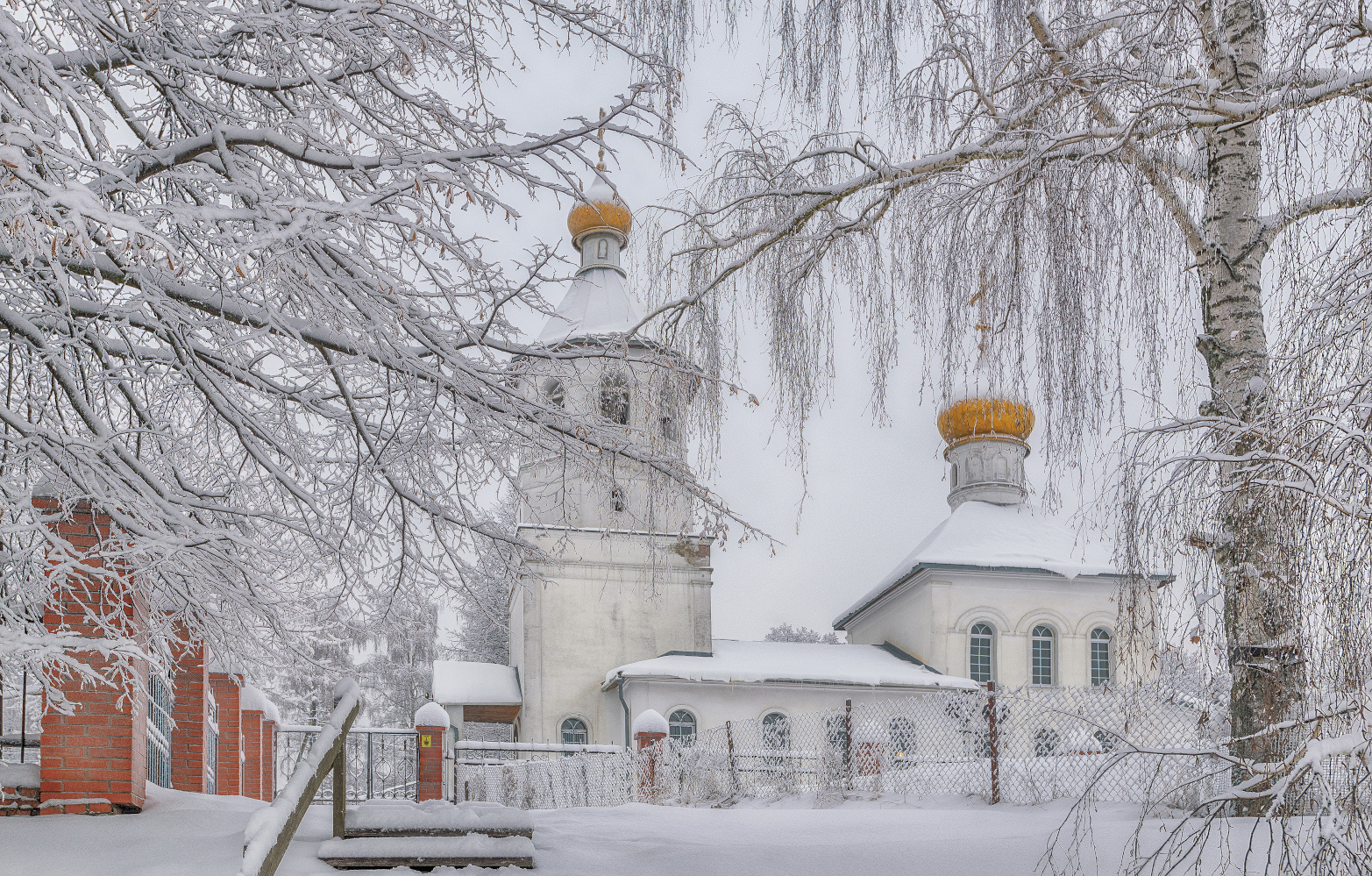 фото "***" метки: разное, природа, 