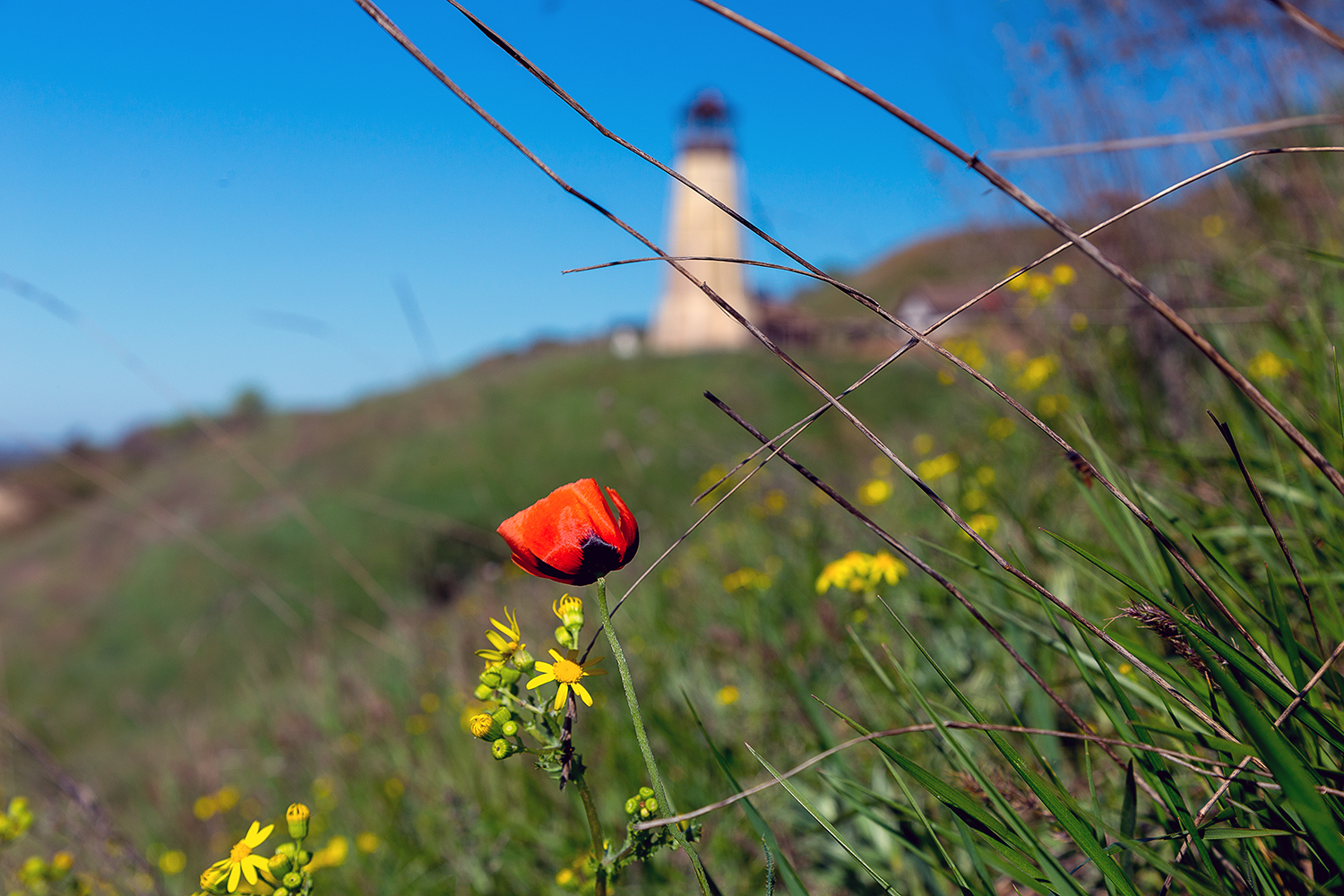 photo "***" tags: landscape, nature, travel, 