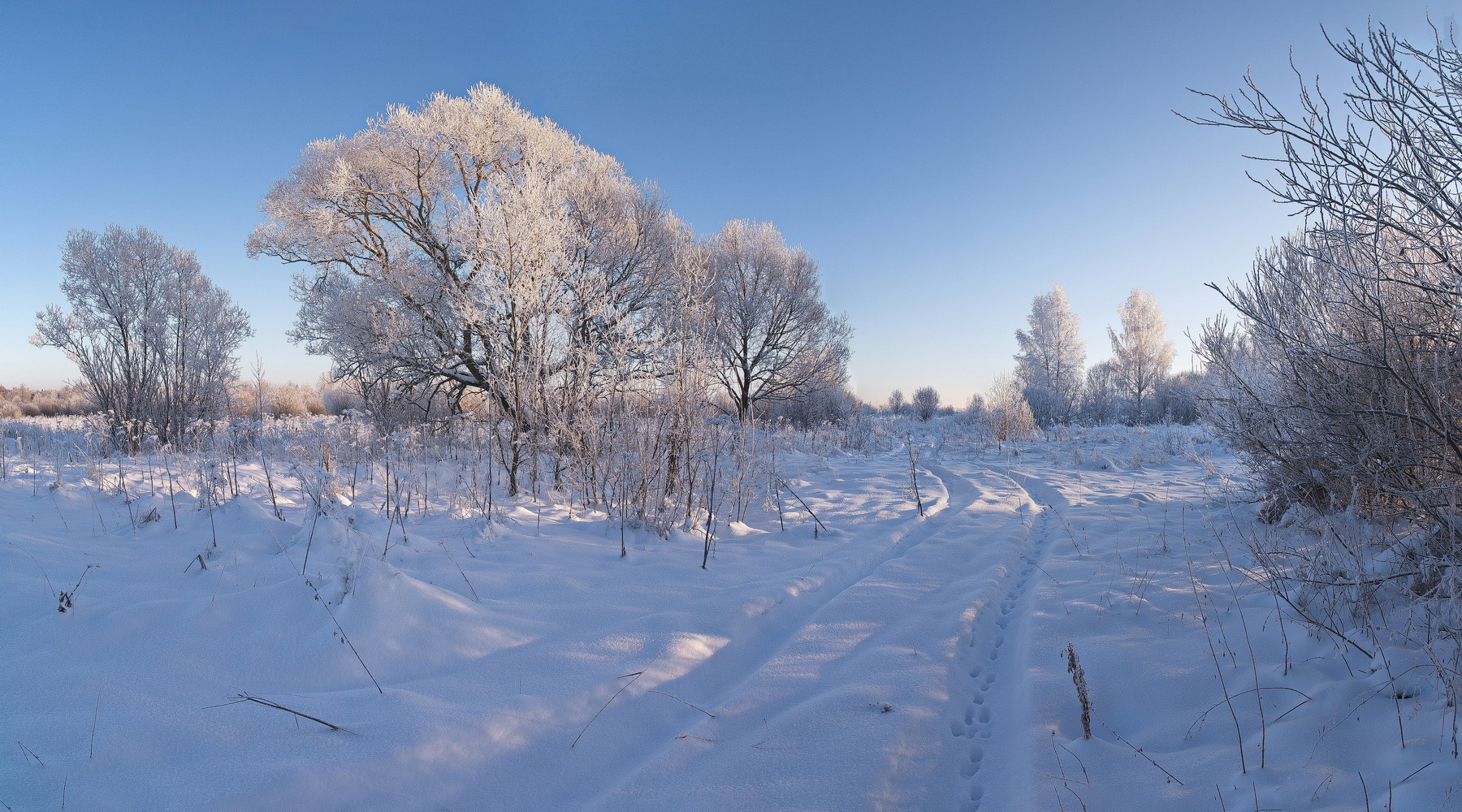 photo "***" tags: landscape, nature, hoarfrost, snow, winter, деревня