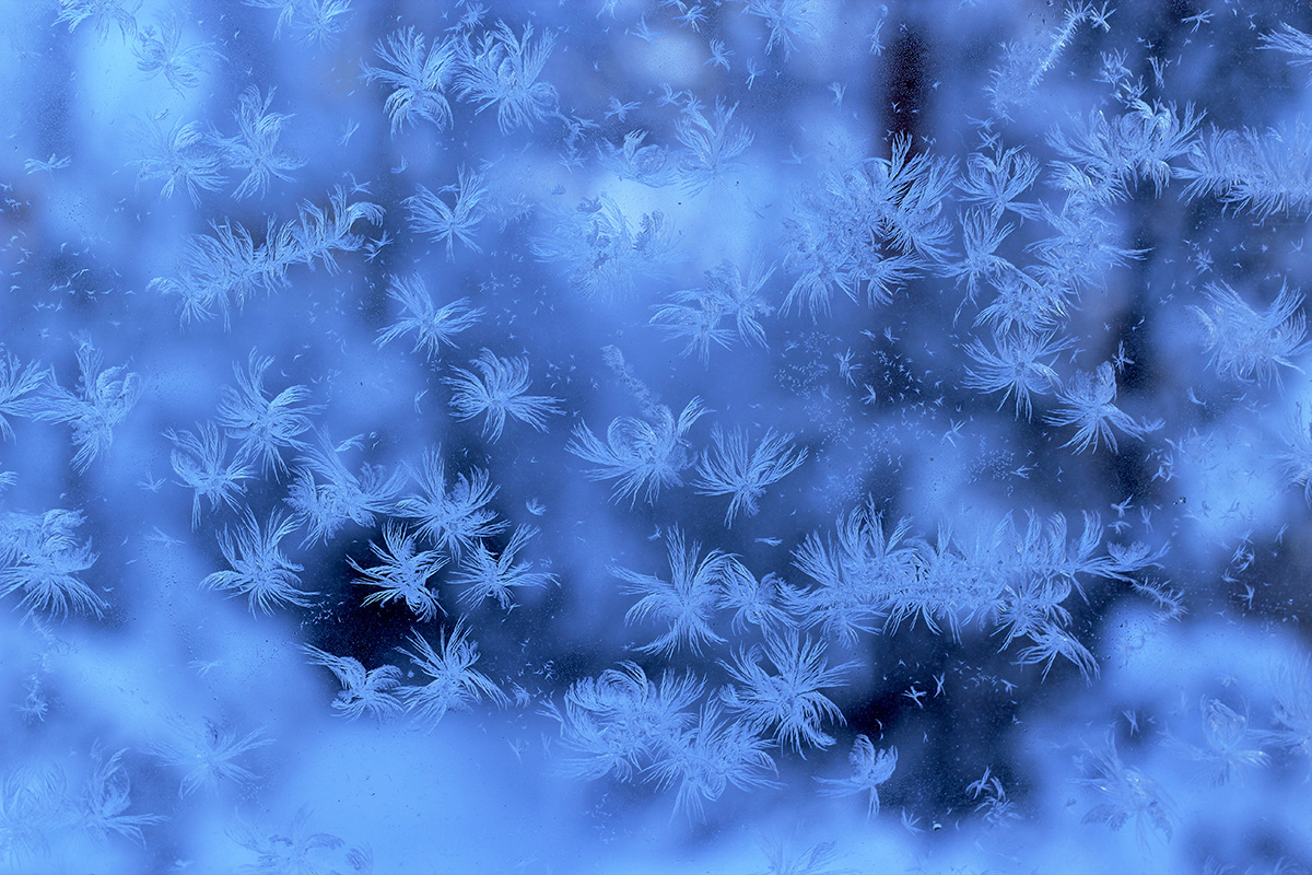 фото "Зимние узоры" метки: макро и крупный план, природа, разное, 