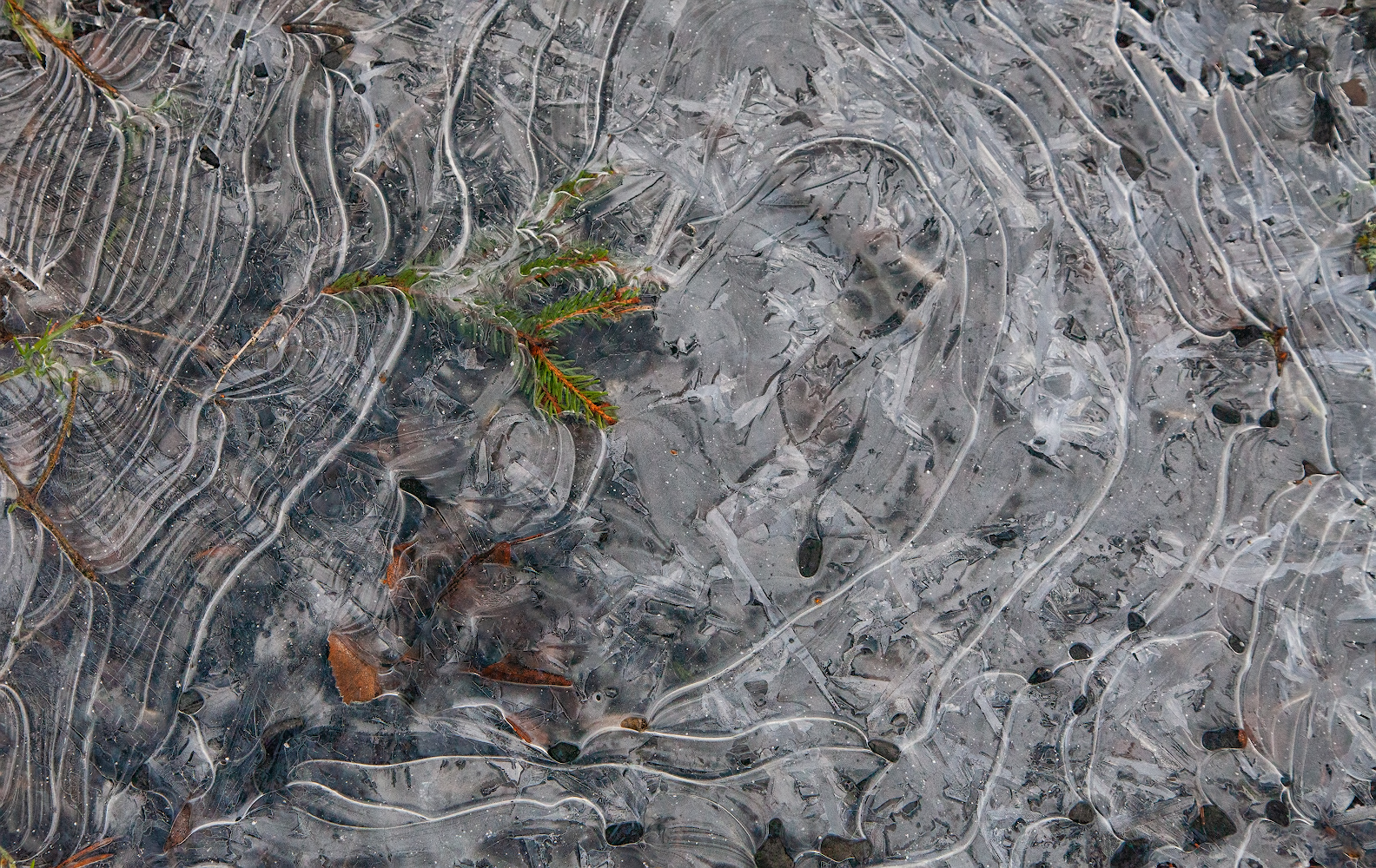 photo "***" tags: nature, abstract, 