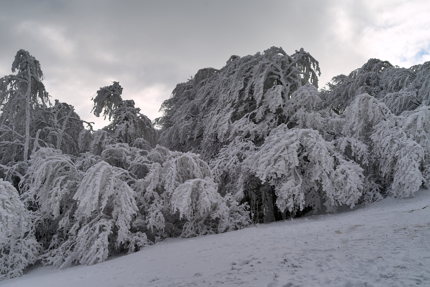 photo "***" tags: landscape, nature, 