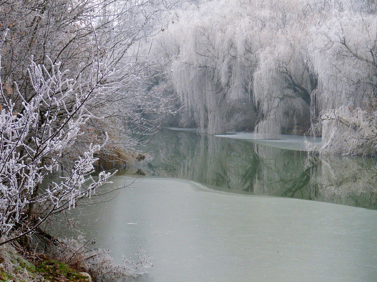 photo "***" tags: nature, winter