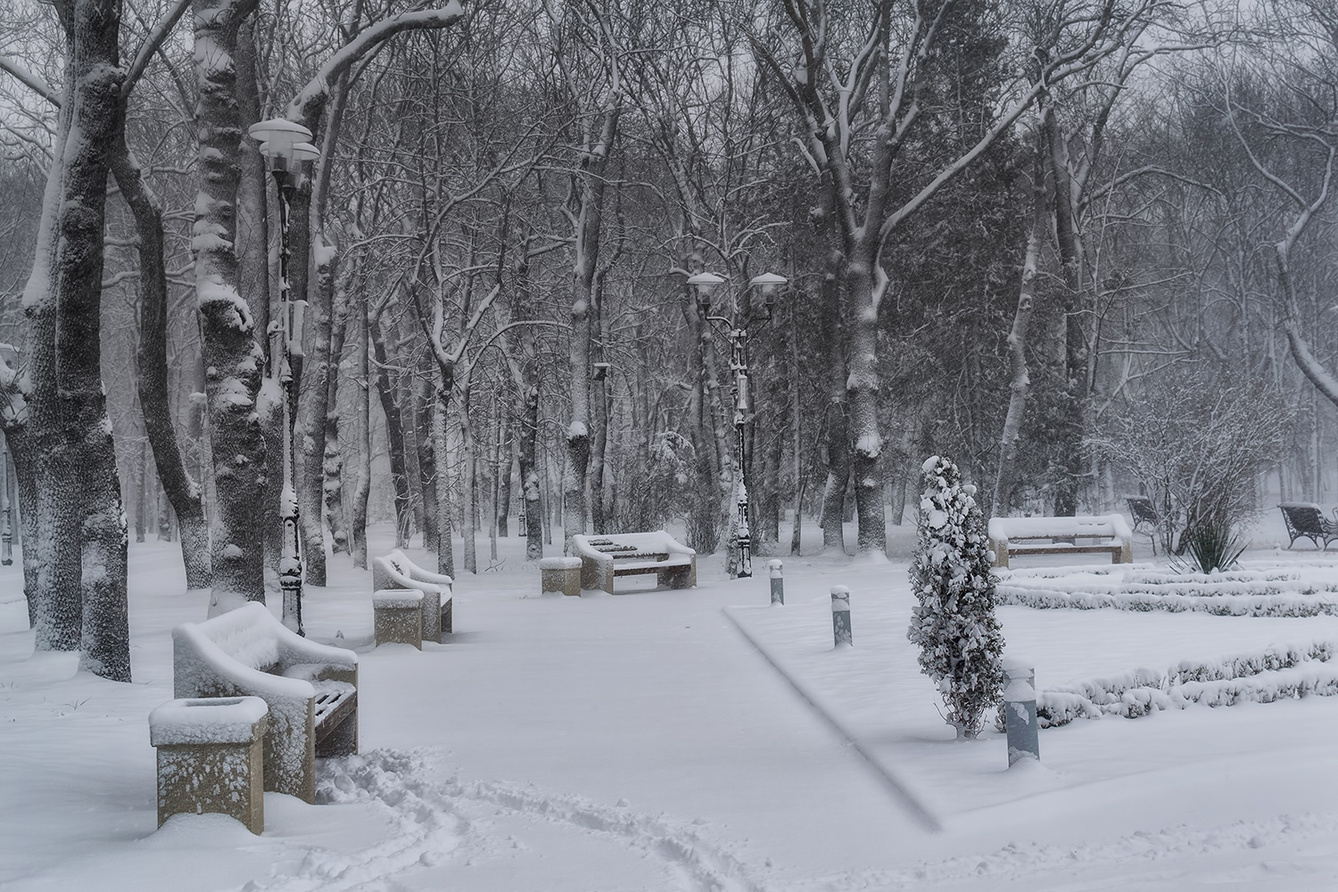 фото "***" метки: , 
