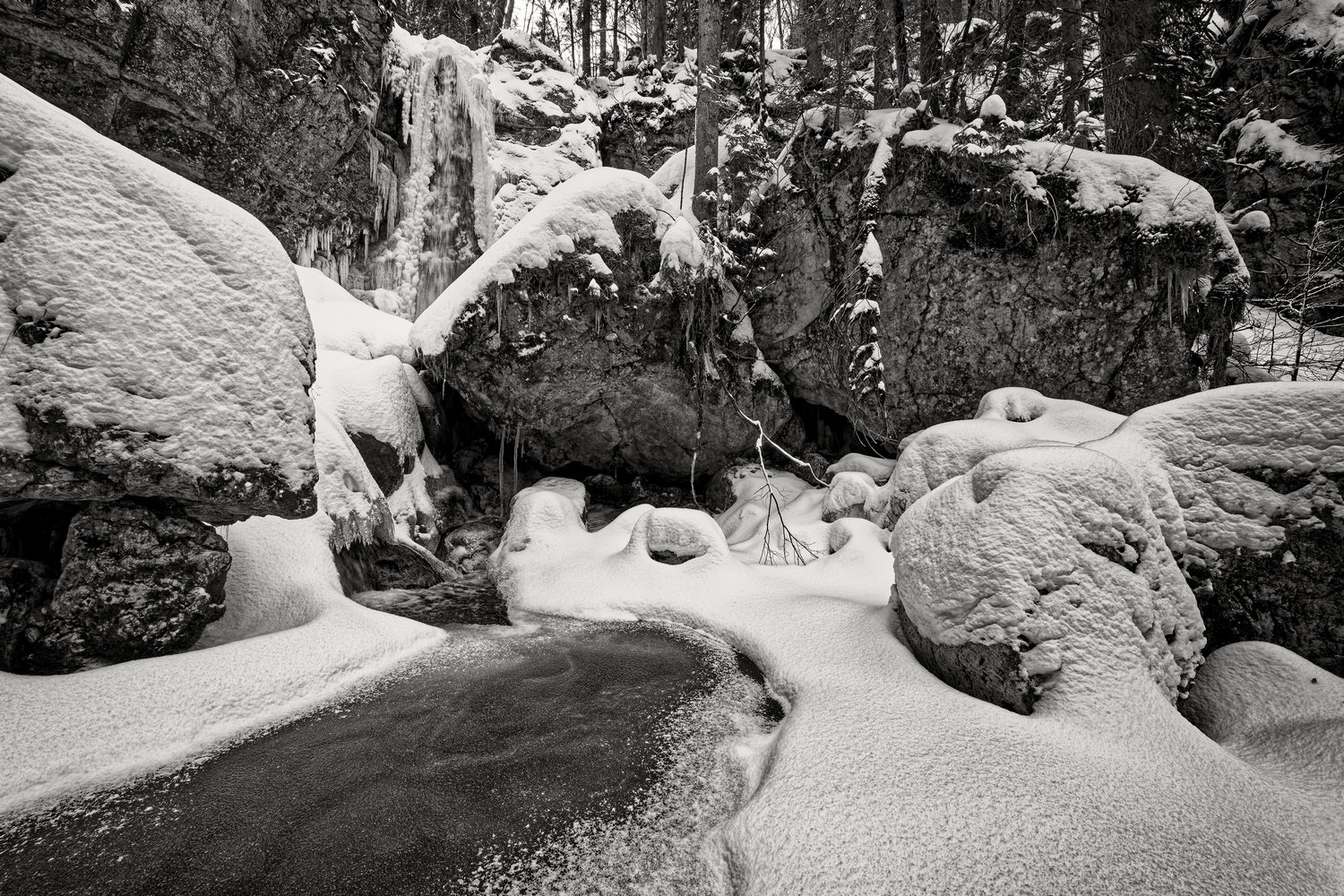 photo "Siebli Fall" tags: landscape, black&white, Europe, forest, mountains, winter