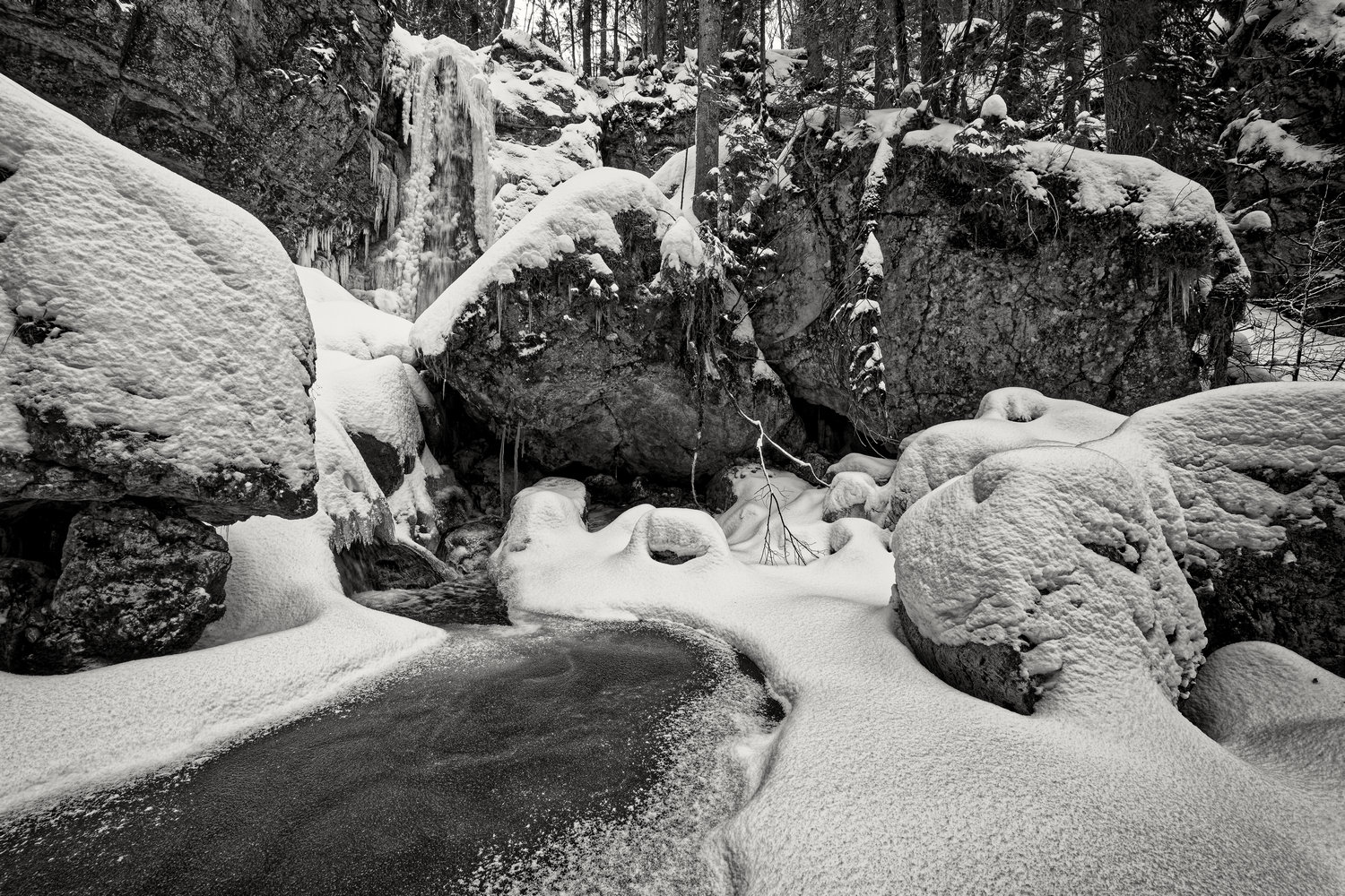фото "Siebli Fall" метки: пейзаж, черно-белые, Europe, forest, горы, зима