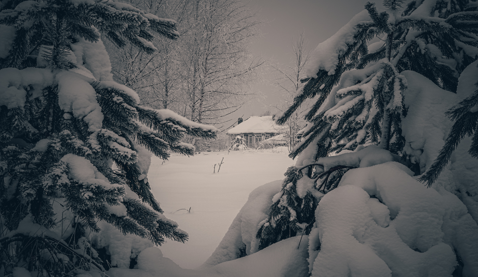 photo "***" tags: nature, landscape, 