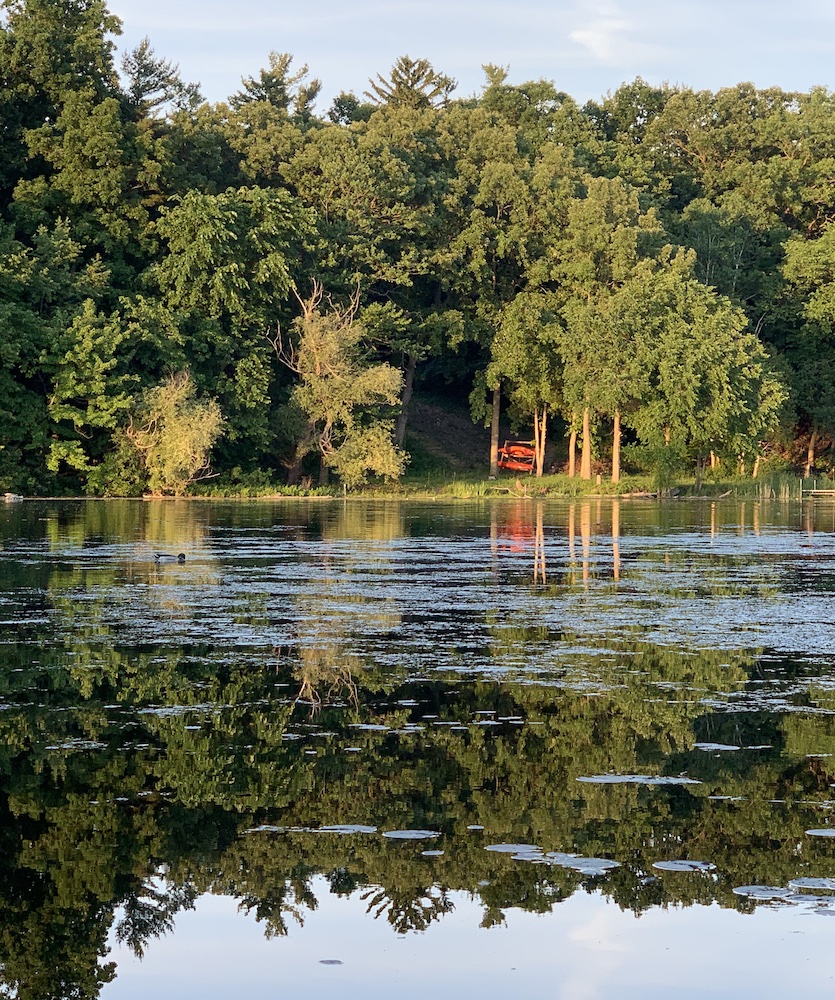 photo "***" tags: landscape, nature, lake, summer, trees