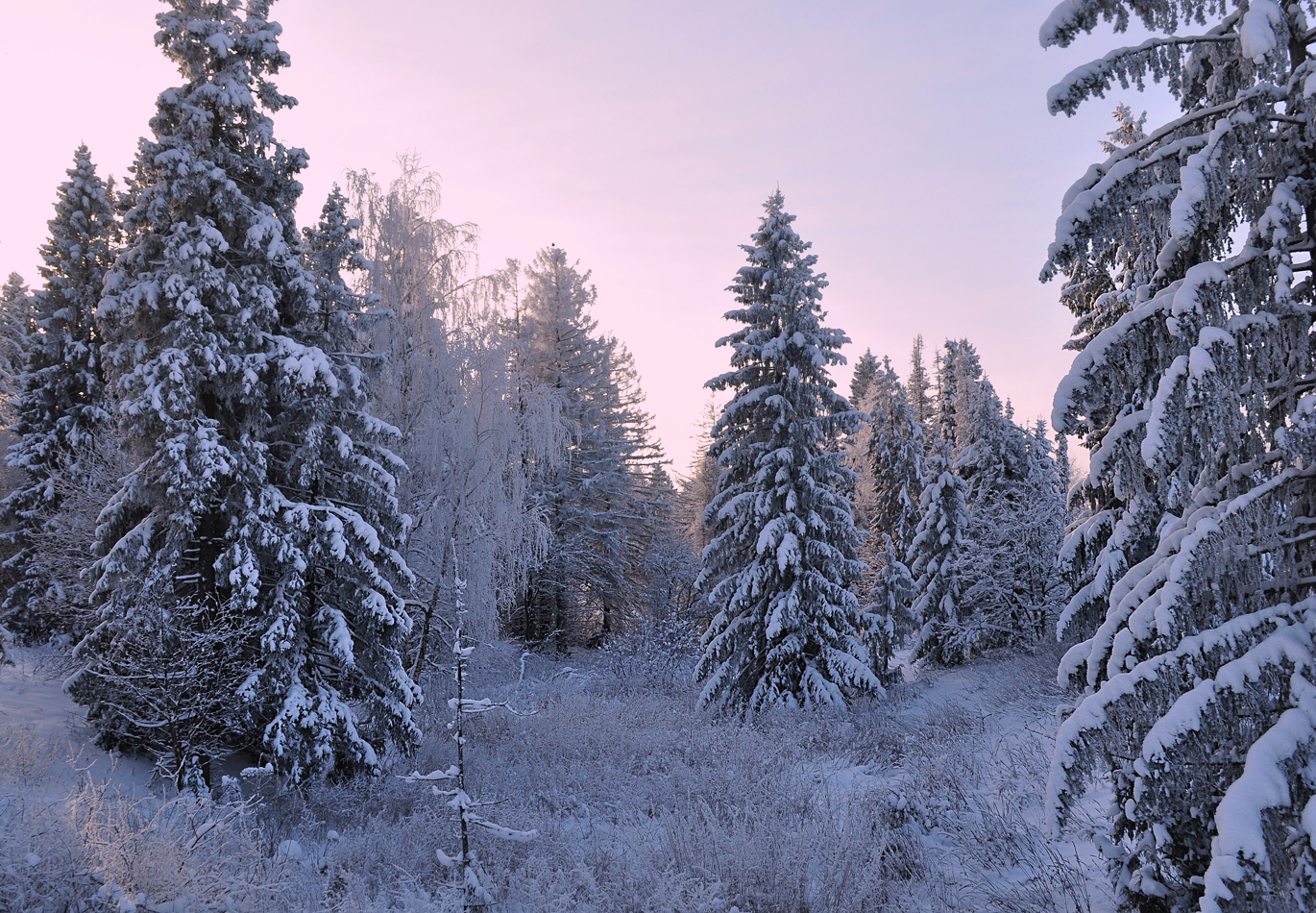photo "***" tags: landscape, nature, 