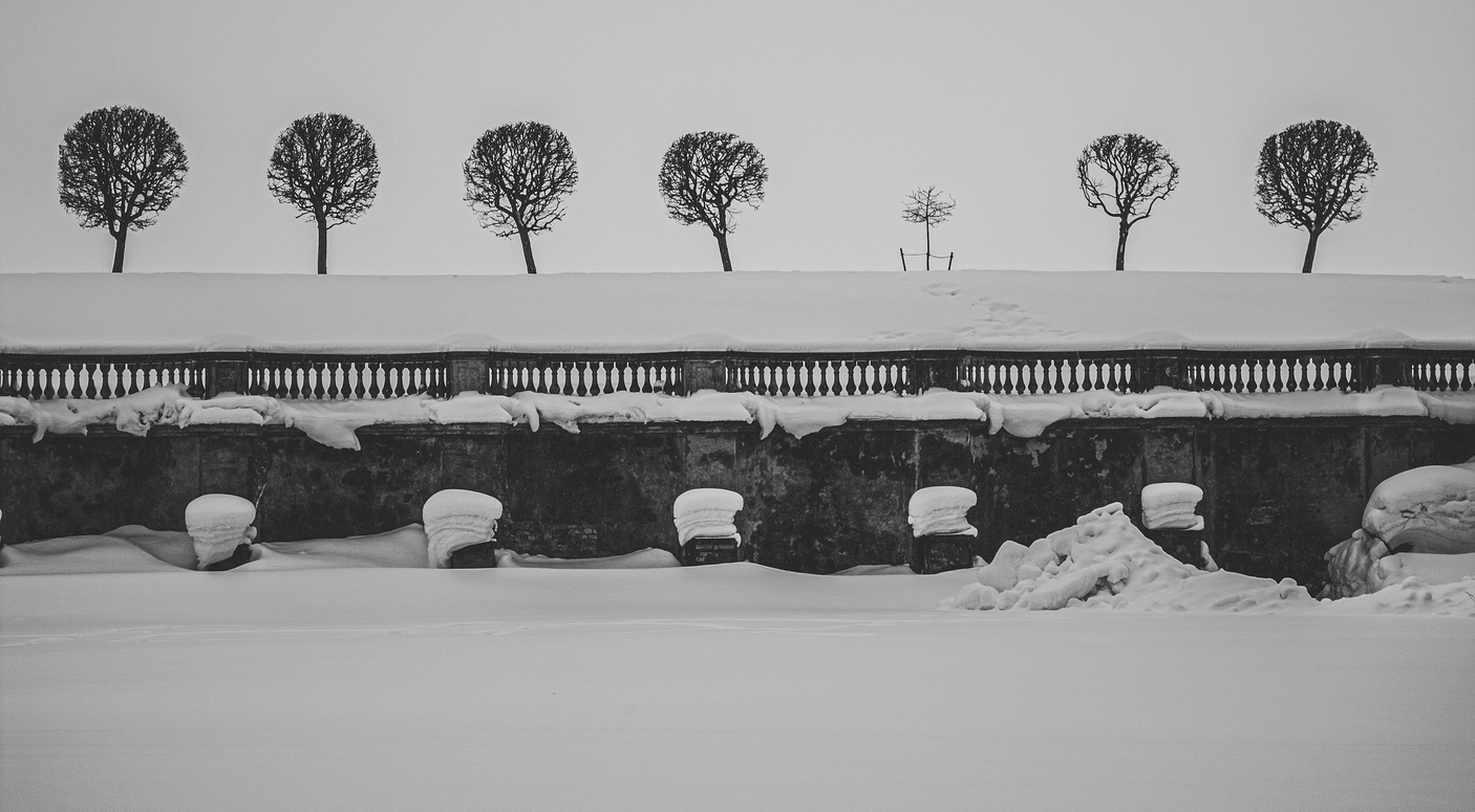 photo "зимний парк" tags: landscape, misc., black&white, park, snow, winter, Петергоф, Петродворец, деревья