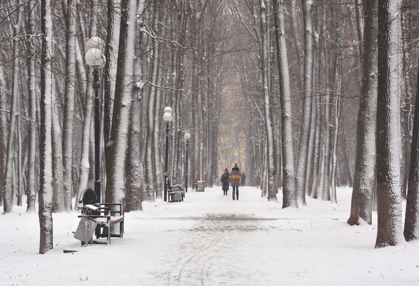 photo "***" tags: landscape, winter, аллея, парк. снегопад