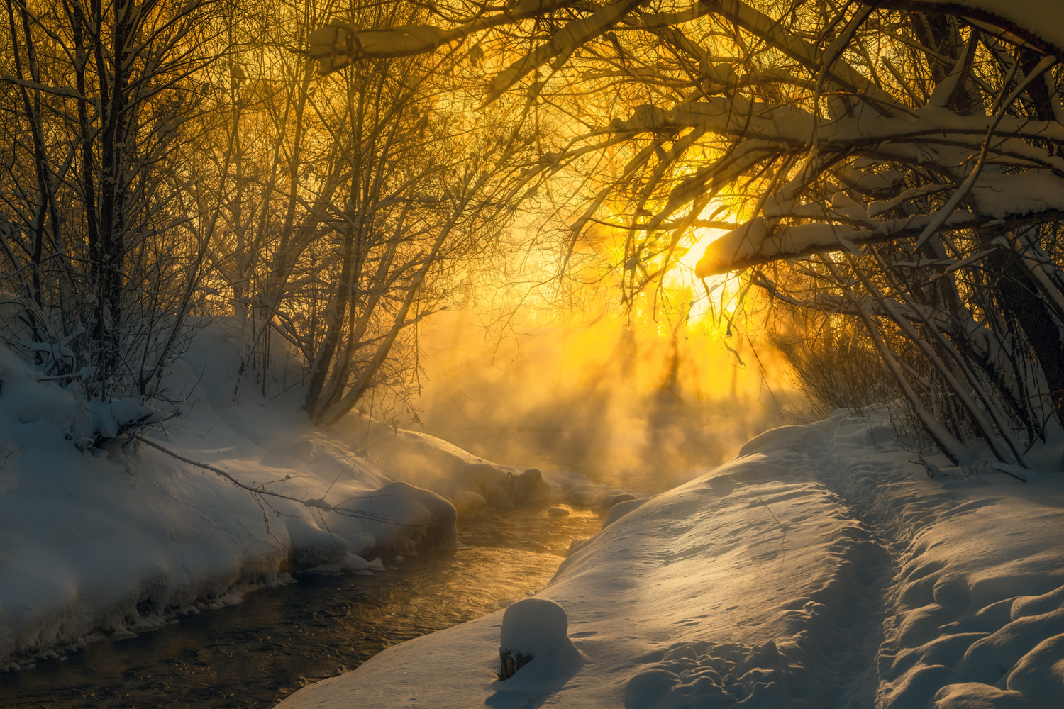 фото "***" метки: пейзаж, природа, зима, рассвет