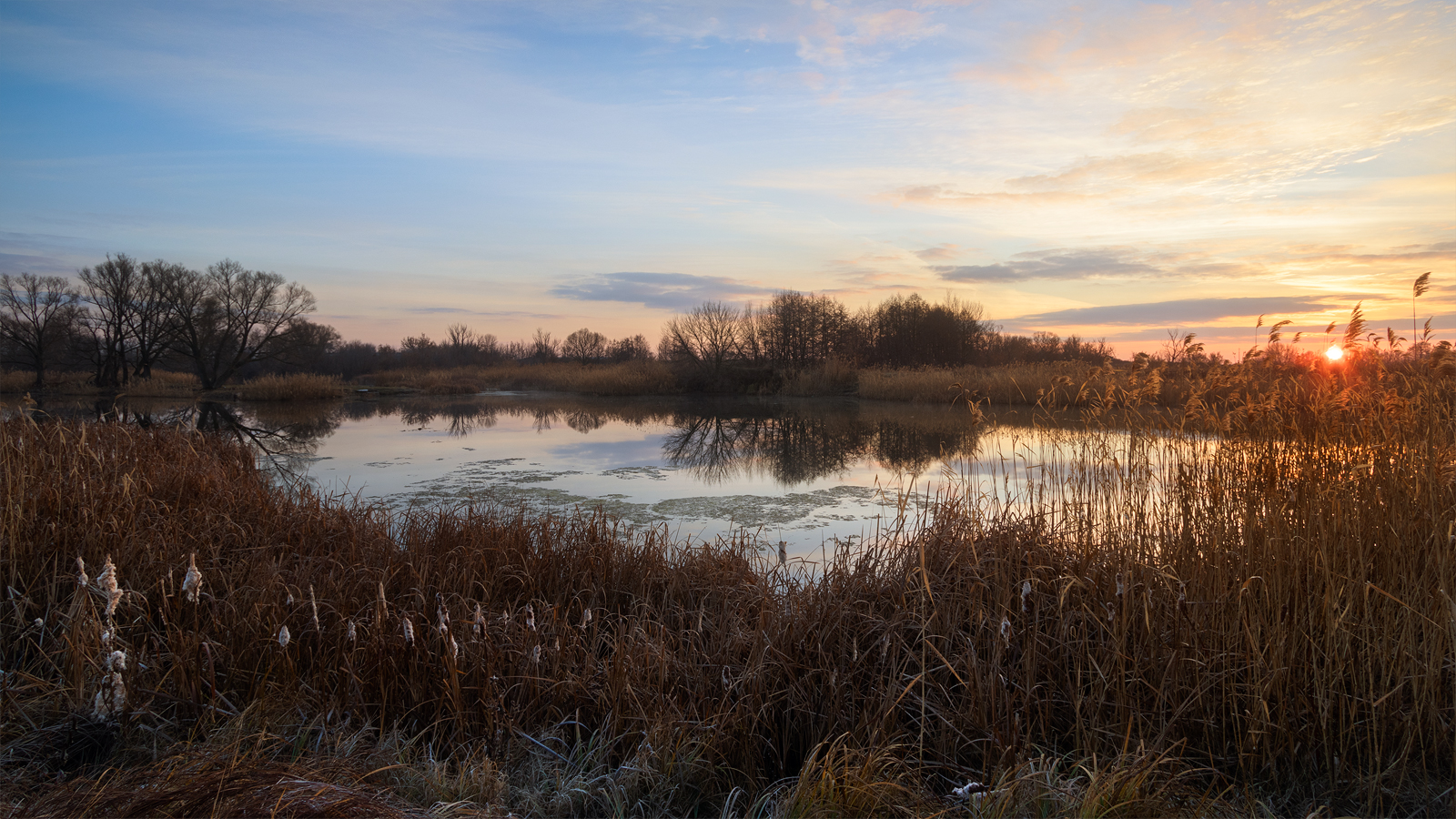 photo "***" tags: landscape, 