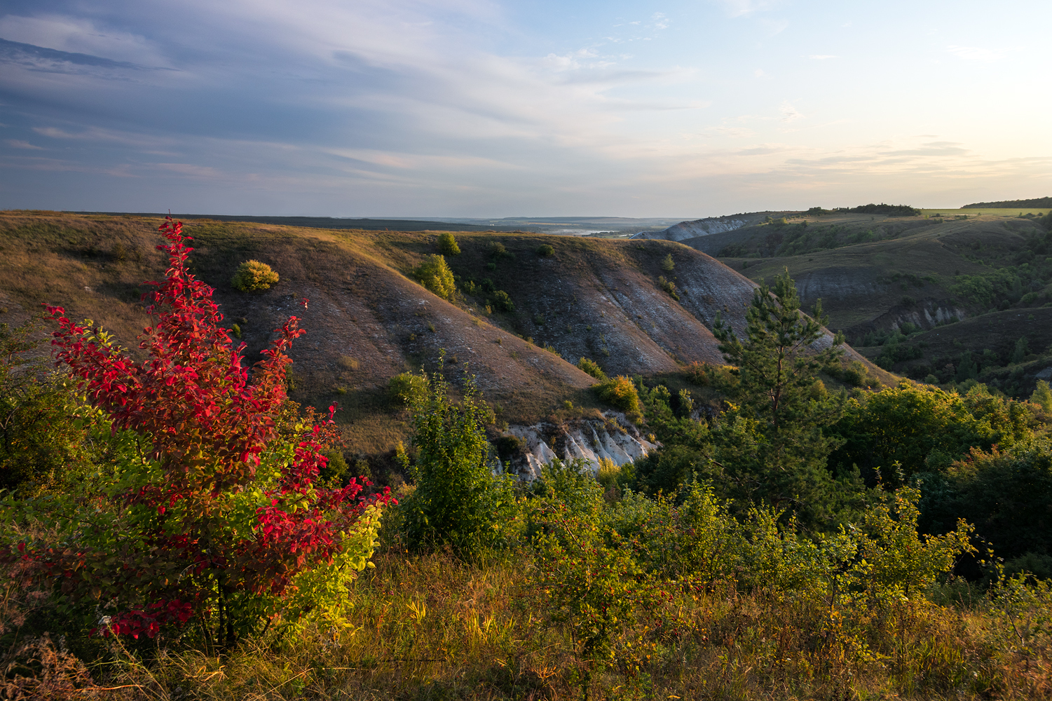 photo "***" tags: landscape, 