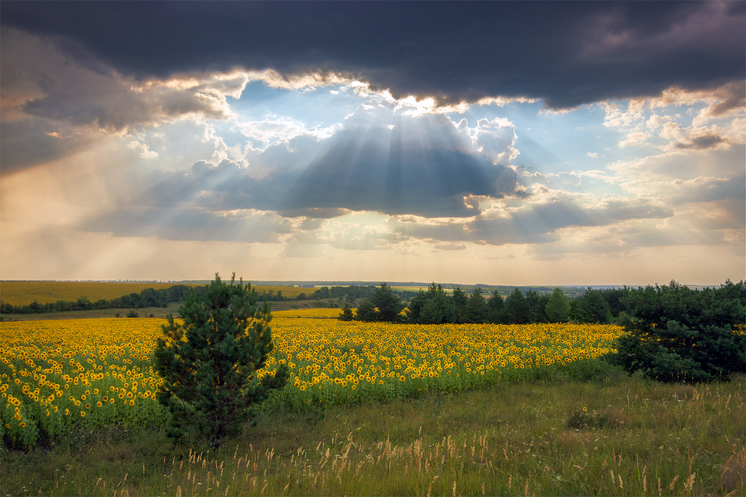 фото "***" метки: пейзаж, 