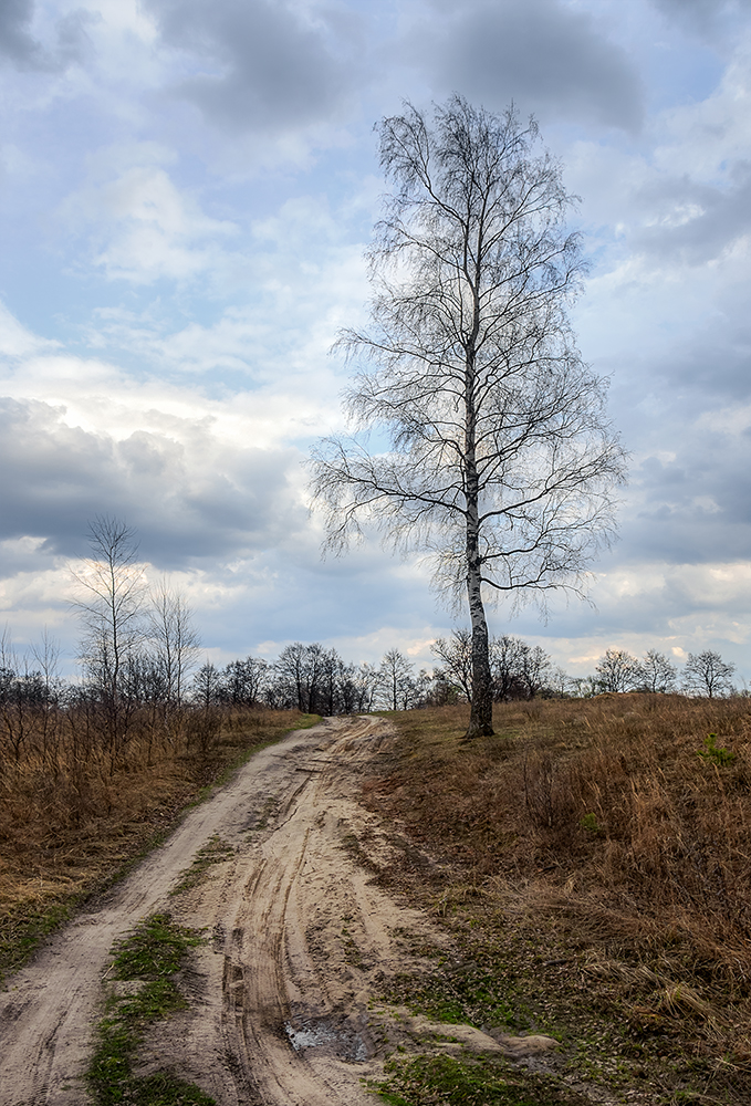 фото "***" метки: пейзаж, 
