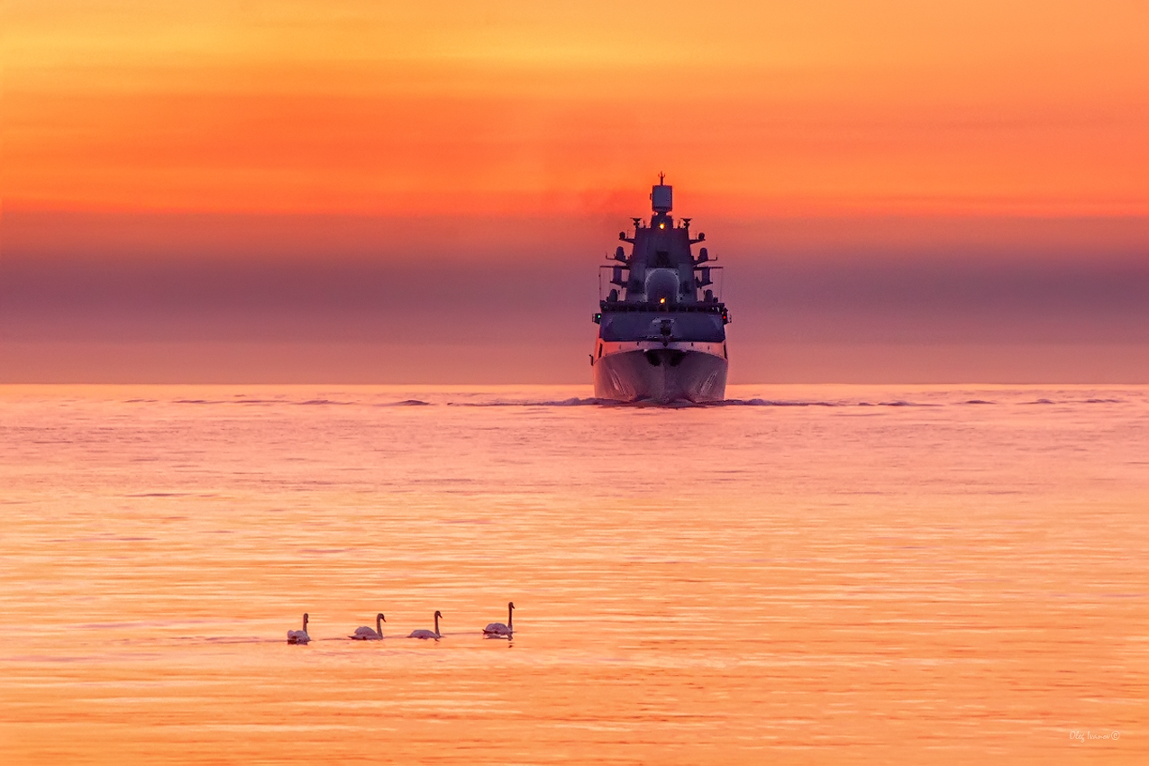 фото "Водоплавающие" метки: пейзаж, Балтийск, Балтийское море, Военно-морской флот, Калининградская область