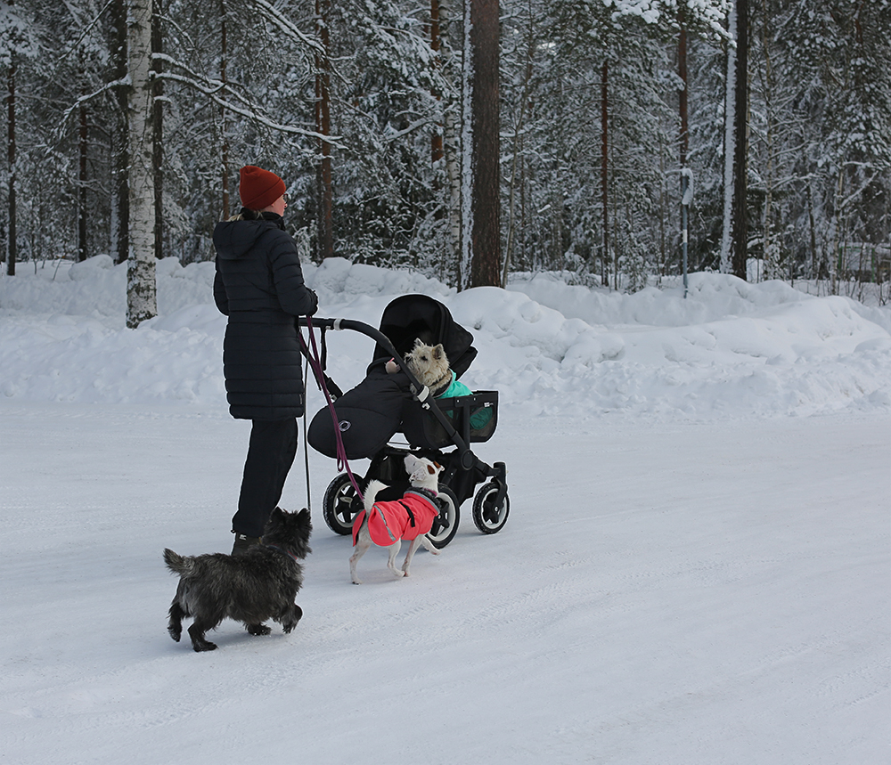 photo "***" tags: street, winter