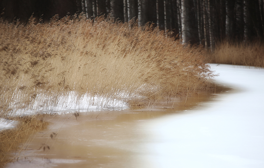 фото "у озера" метки: , Ridasjärvi