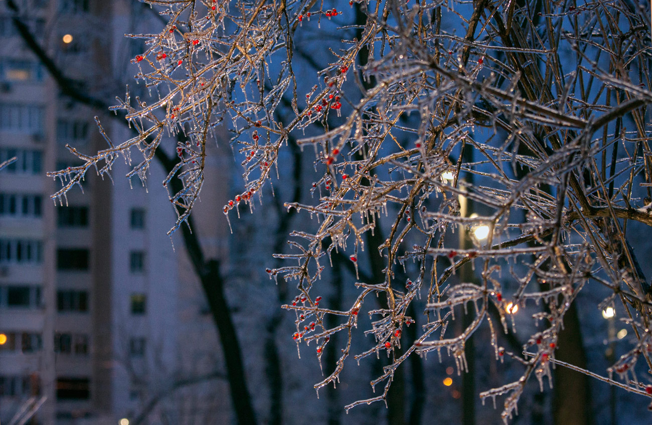 фото "Зимняя сказка" метки: природа, Городские зарисовки