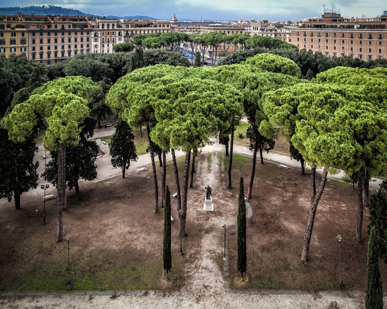photo "Pine Trees (and other conifers) in Rome" tags: landscape, 