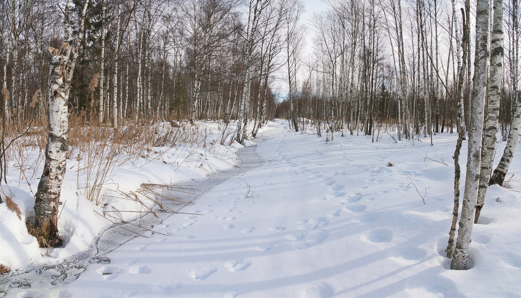 photo "***" tags: landscape, nature, 