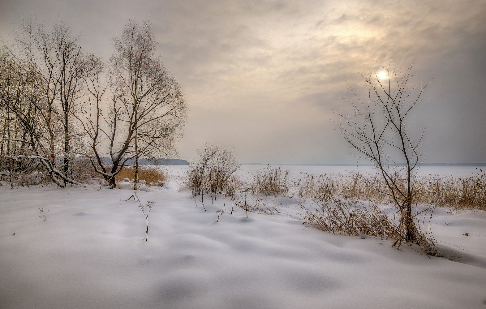 песня зимнее поле. зимнее поле в городе. ночное зимнее небо и поле. одинокое дерево ночью зимой. в поле утром зимой.