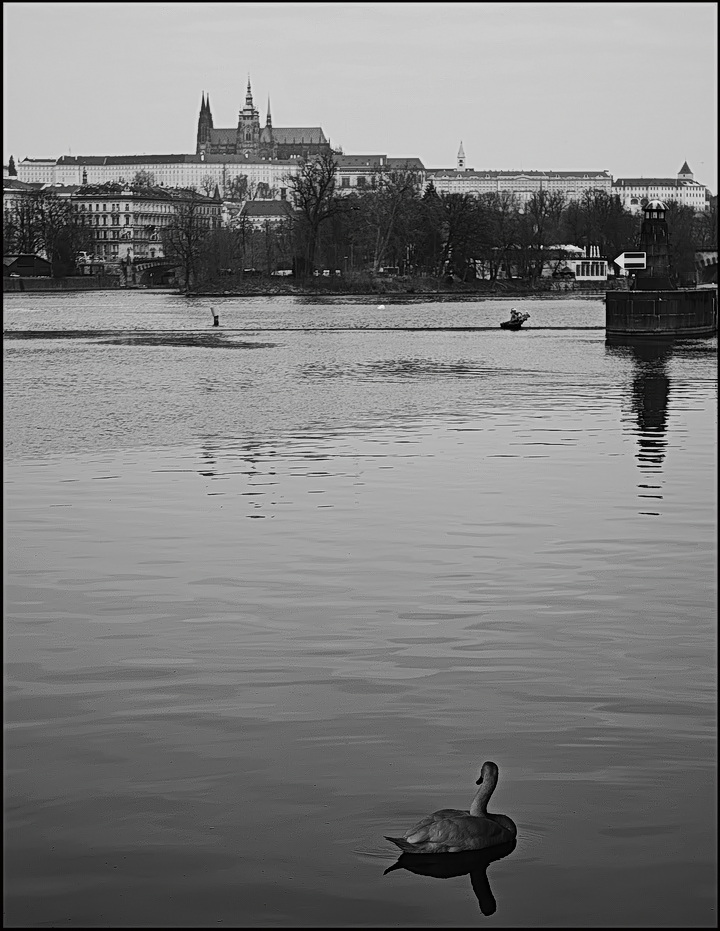 photo "Пражский Град и Влтава" tags: black&white, Prag, Prague, Praha
