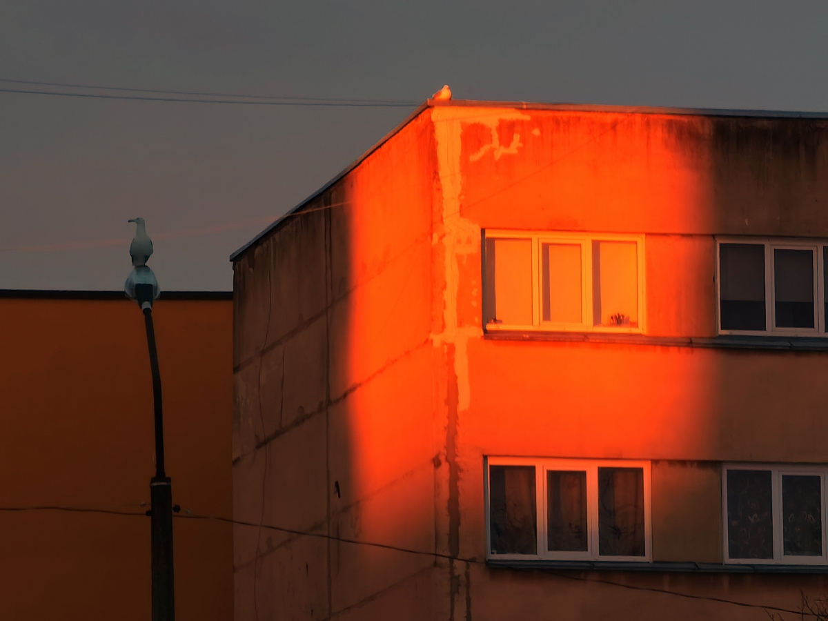 фото "Всё в порядке очереди" метки: разное, 