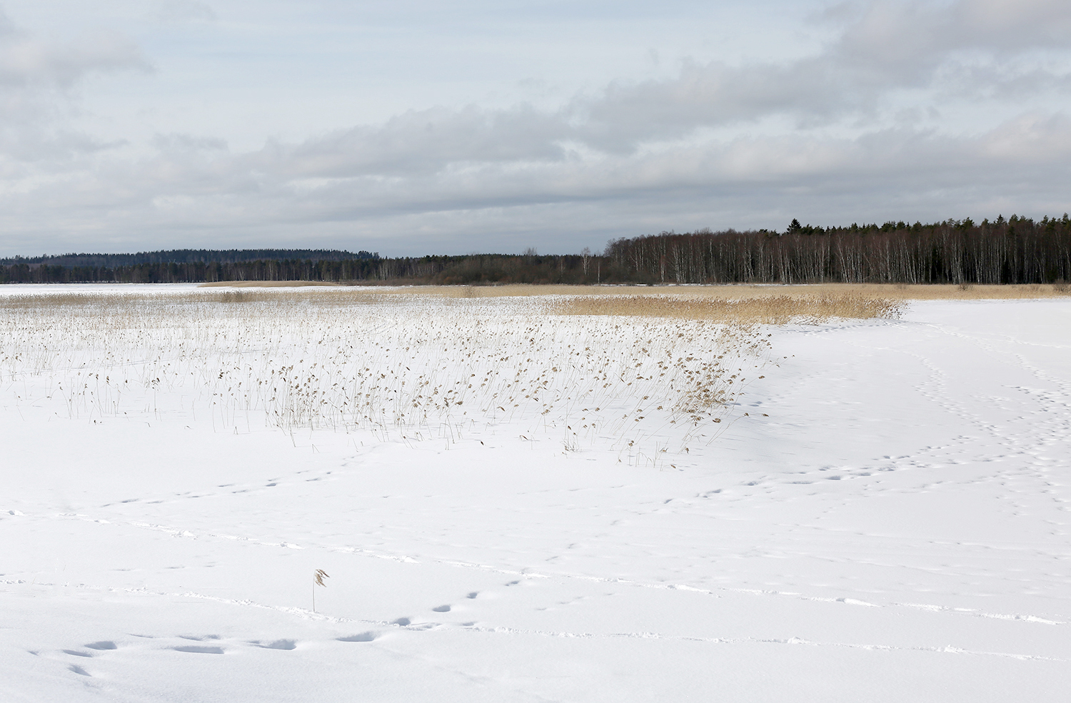 photo "***" tags: landscape, Finland, Ridasjärvi
