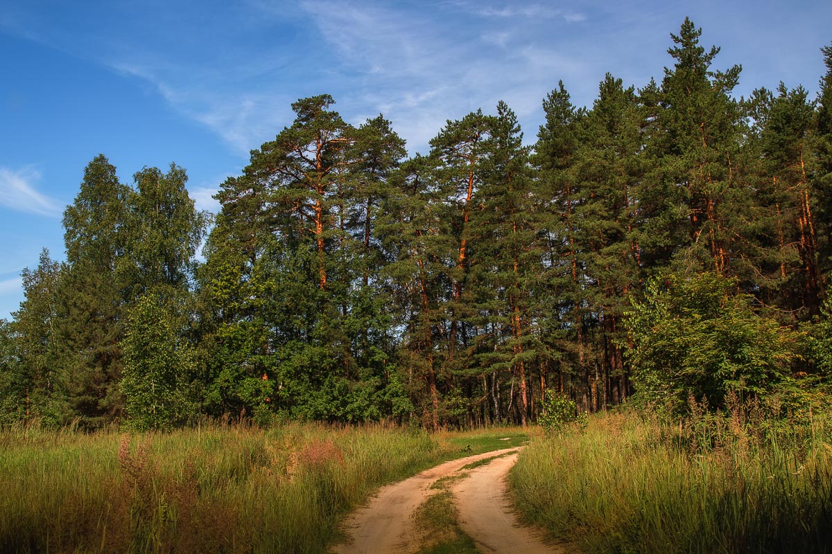 photo "***" tags: landscape, 