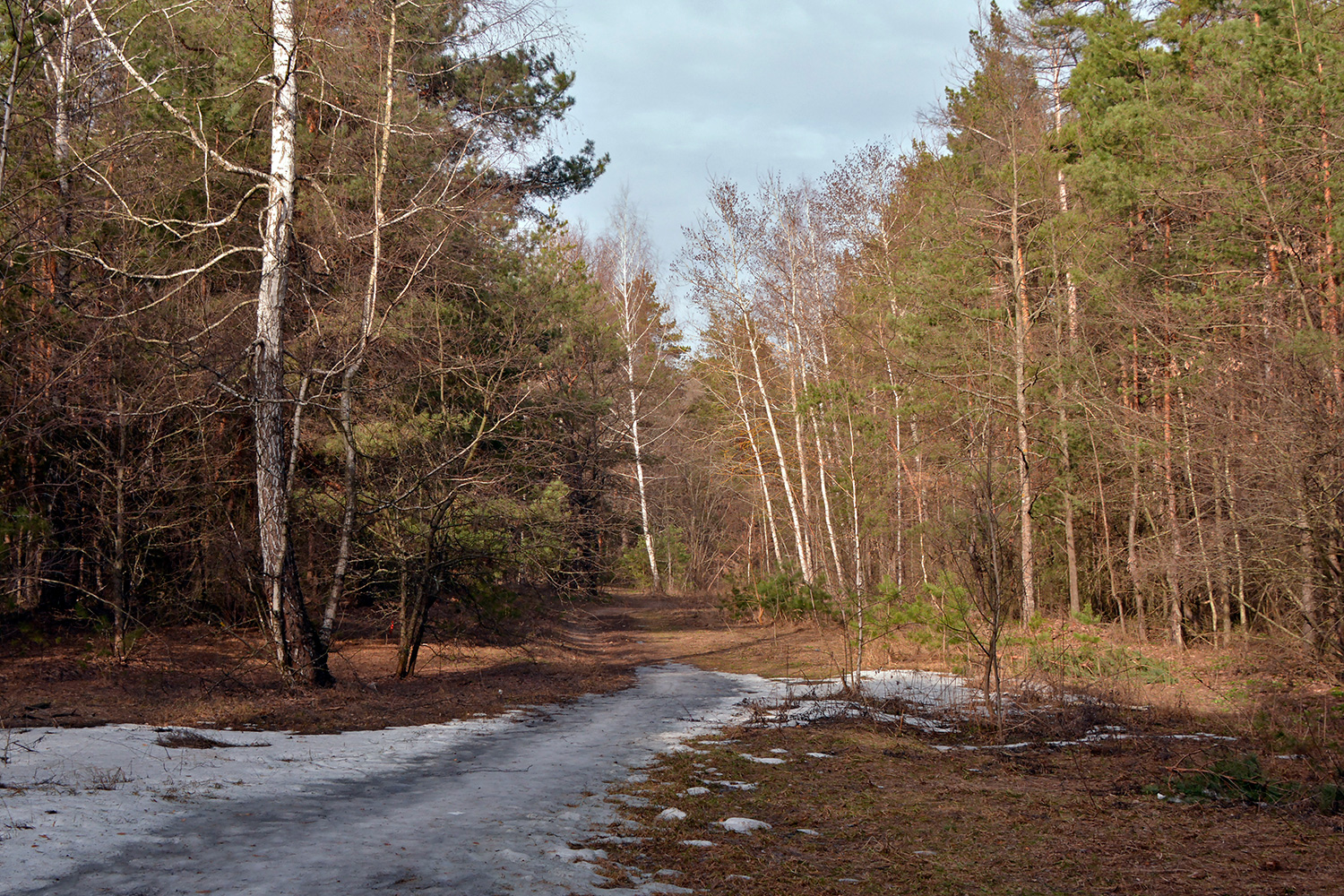 photo "***" tags: landscape, forest, snow, spring