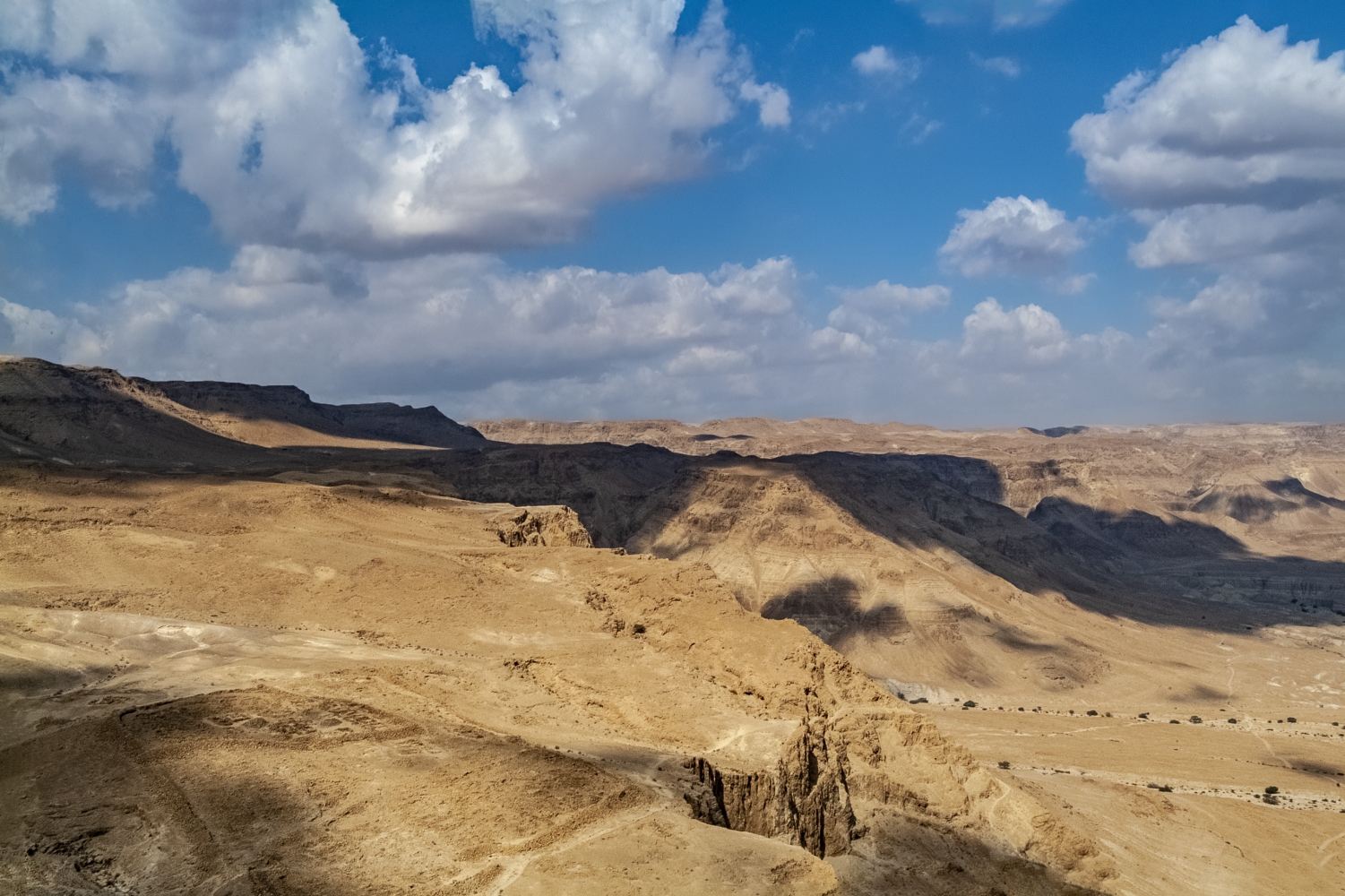 photo "The Wilderness" tags: travel, 