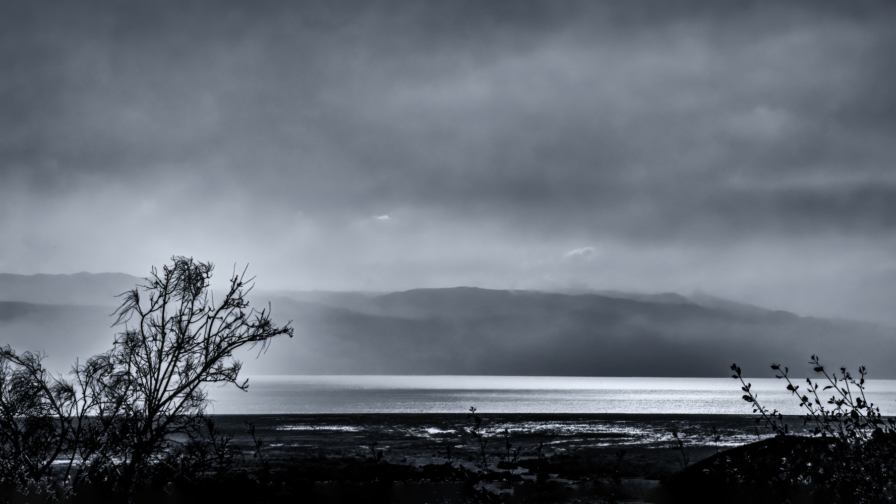 photo "The Wilderness 2" tags: landscape, 