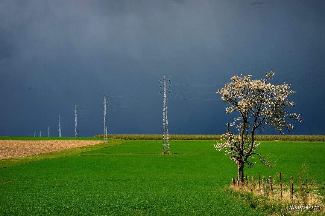 photo "***" tags: landscape, nature, 