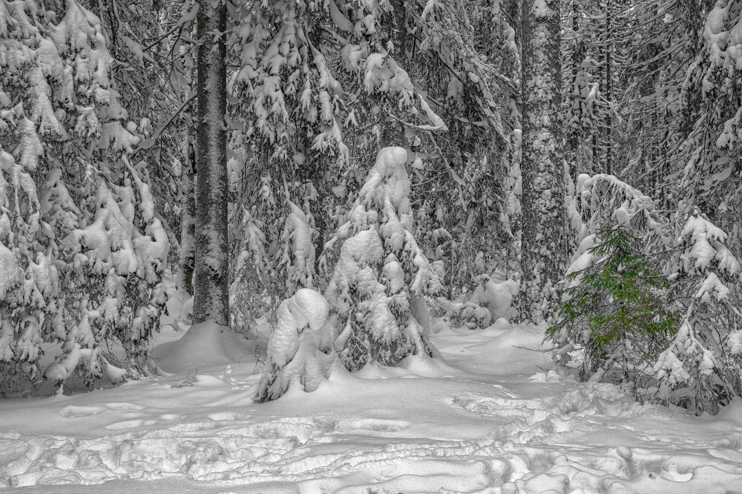 фото "***" метки: пейзаж, 
