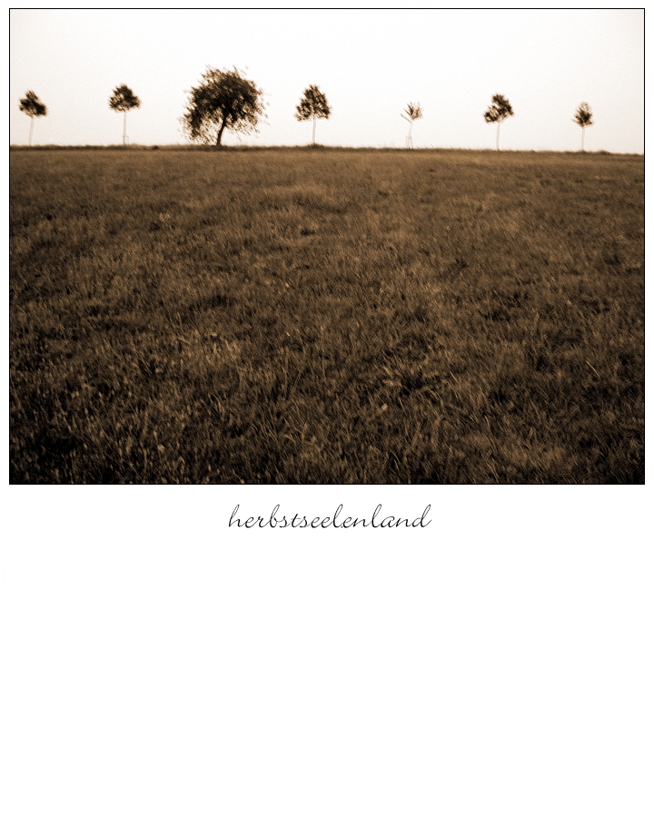 photo "herbstseelenland" tags: landscape, 