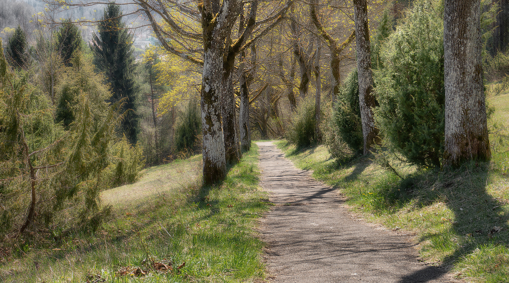 photo "***" tags: landscape, 