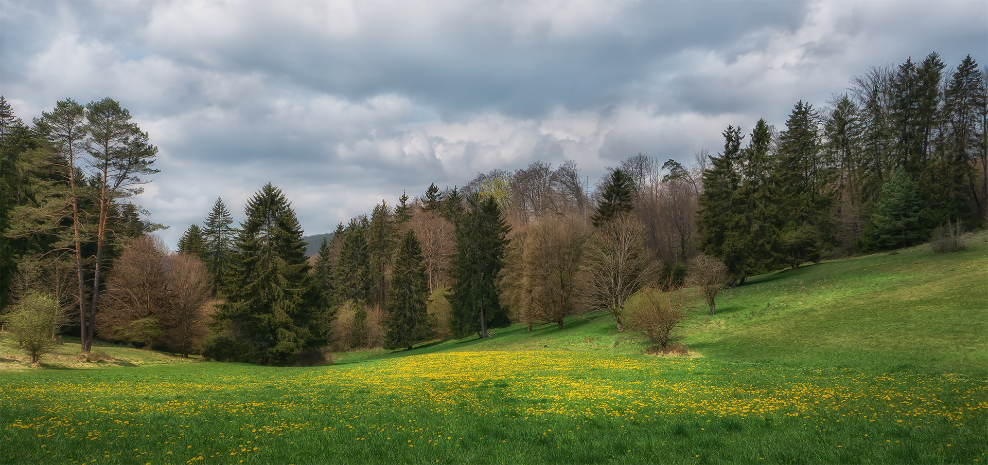 photo "***" tags: landscape, 