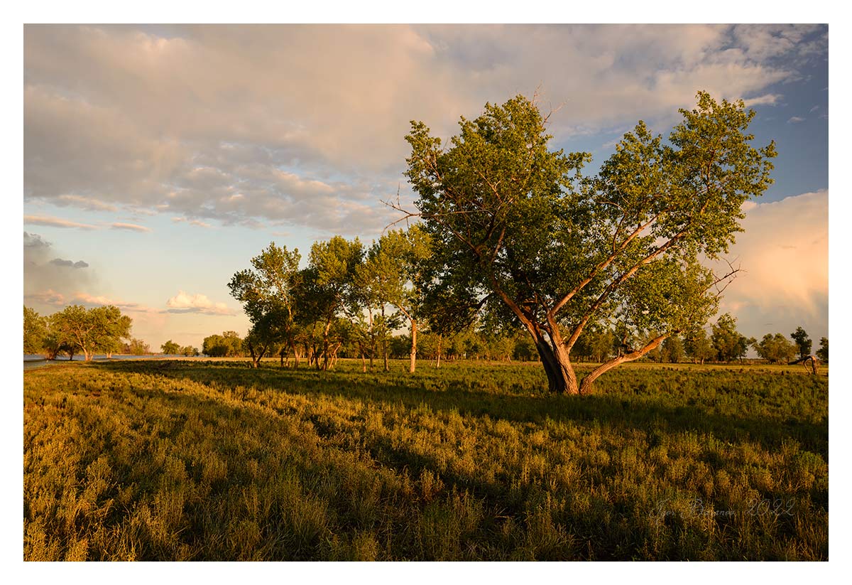 photo "***" tags: landscape, Bолга, Russia