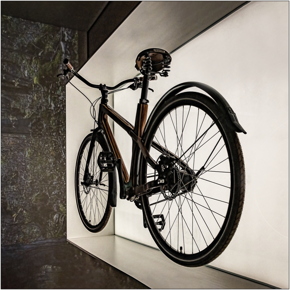 photo "Bicycle in Perspective" tags: misc., 