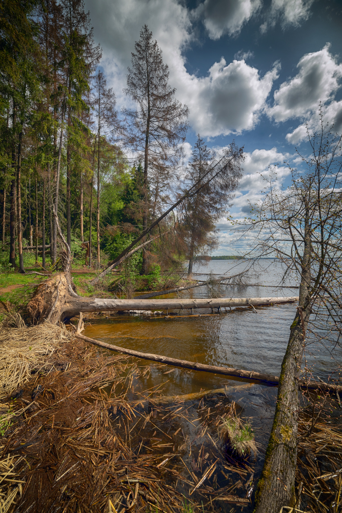 фото "Совершенство хаоса" метки: пейзаж, 